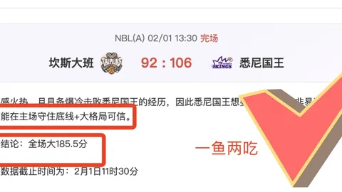 在伤病挑战中，能否逆袭弱旅，夺金悬念再起？