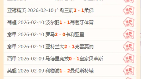 非洲杯预选赛数据解析：专家质合分析及大乐透期号推荐